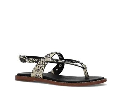 Frye And Co Bucky Studded Thong In Animal Print