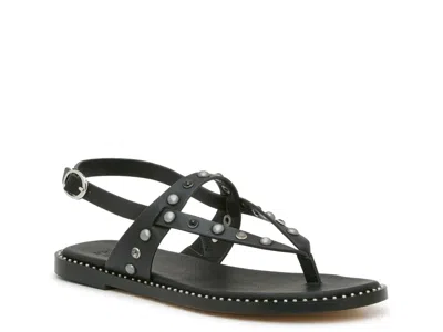 Frye And Co Frye & Co. Bucky Sandal In Black