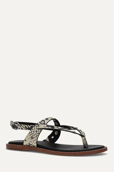 Frye And Co Bucky Studded Thong In Animal Print