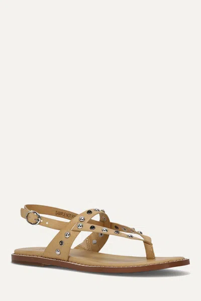 Frye And Co Bucky Studded Thong In Brown