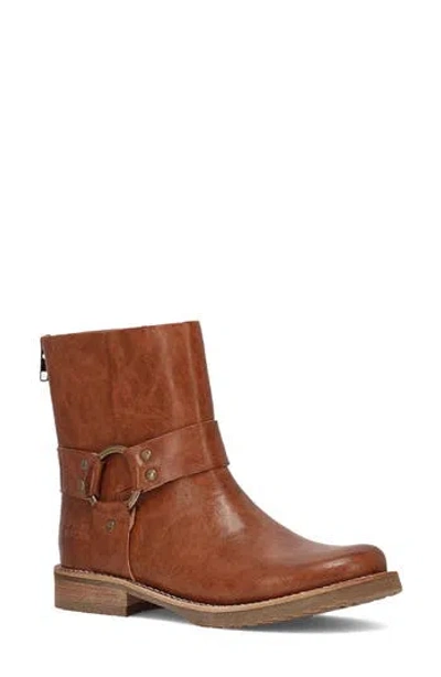 Frye And Co Chesnee Harness Bootie In Saddle