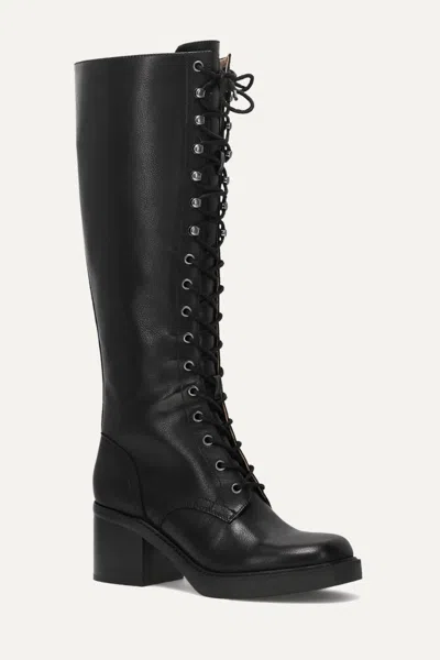 Frye And Co Fynn Knee High Lace Up In Black