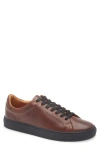 Frye Astor Sneaker In Mahogany