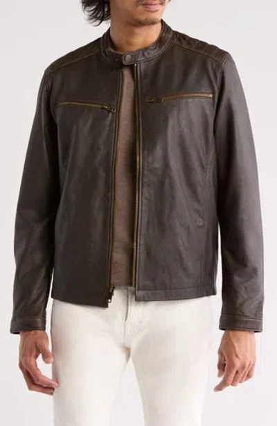 Frye Cafe Racer Leather Jacket In Dark Brown