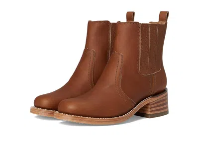 Frye Campus Chelsea In Brown