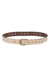 Frye Diamond Perforated Leather Belt In Cream / Antique Brass