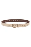 Frye Diamond Perforated Leather Belt In Cream/antique Brass