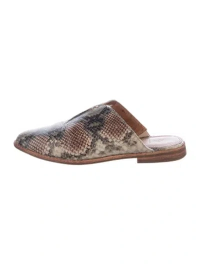 Pre-owned Frye Leather Animal Print Mules In Multi