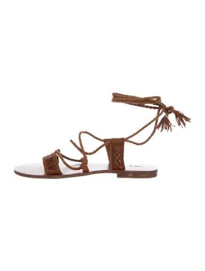Pre-owned Frye Leather Gladiator Sandals In Brown