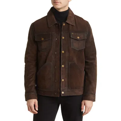 Frye Leather Trucker Jacket In Dark Brown