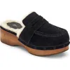 Frye Melody Genuine Shearling Lined Platform Clog In Black
