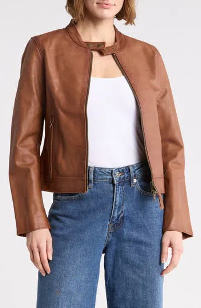 Frye Racer Leather Jacket In Tobacco