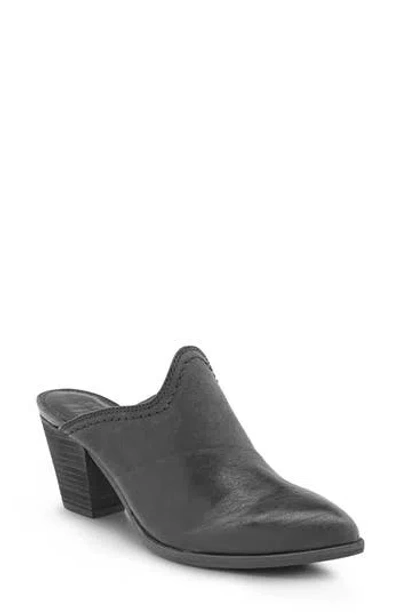 Frye Reed Western Mule In Black
