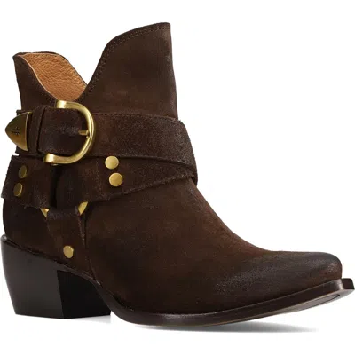 Frye Sacha Harness Bootie In Chocolate
