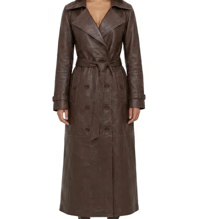 Frye Soho Trench Coat In Dark Brown