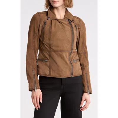 Frye Suede Biker Leather Jacket In Taupe