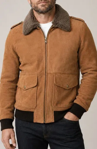 Frye Suede Flight Jacket With Genuine Shearling Collar In Animal Print