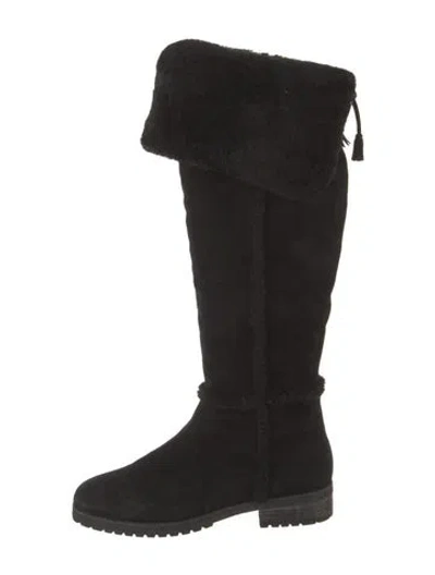 Pre-owned Frye Suede Lace-up Boots In Black