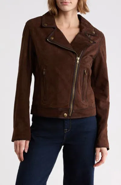 Frye Suede Leather Biker Jacket In Dark Brown
