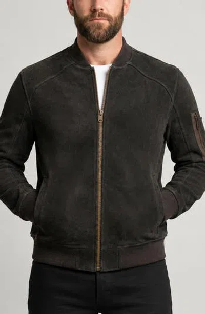 Frye Varsity Bomber Jacket In Animal Print