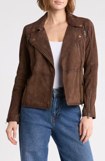 Frye Vintage-inspired Suede Biker Jacket In Dark Brown