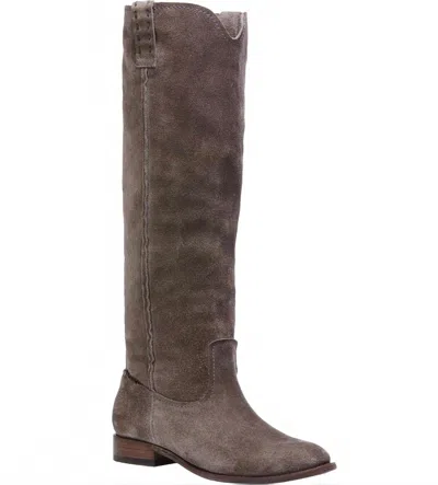 Frye Women's Tall Suede Boot In Taupe In Gray