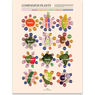 Fun Fact Co. Companion Plants Giclée Print In Multi