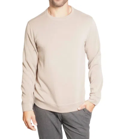 Fundamental Coast Later On Long Sleeve Crew Tee In Timberwolf In Multi