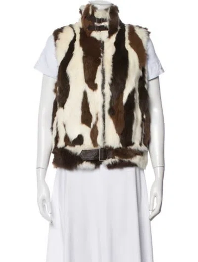 Pre-owned Fur Animal Print Vest In Multicolor