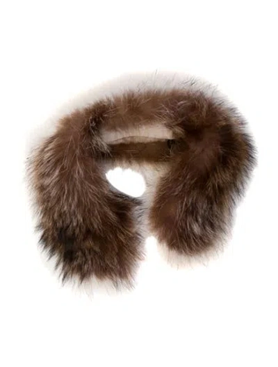 Pre-owned Fur Coyote Stole In Brown