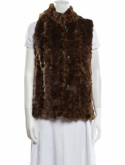 Pre-owned Fur Coat In Brown
