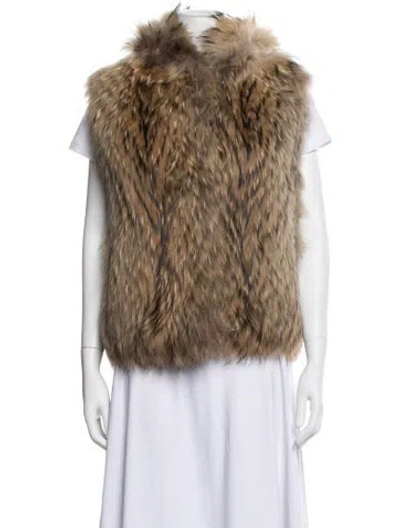 Pre-owned Fur Coat In Brown