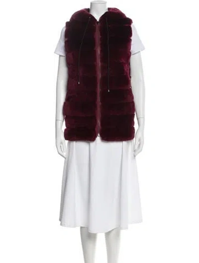 Pre-owned Fur Coat In Burgundy