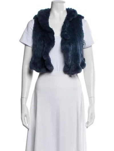 Pre-owned Fur Jacket In Blue