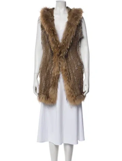 Pre-owned Fur Jacket In Brown