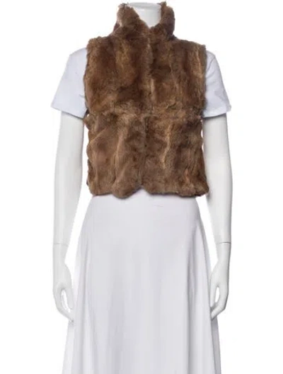 Pre-owned Fur Jacket In Brown