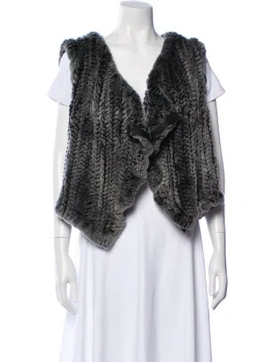 Pre-owned Fur Jacket In Multi