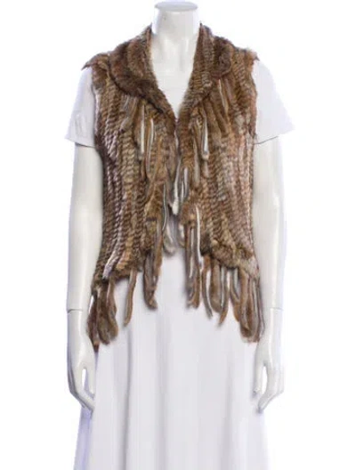 Pre-owned Fur Jacket In Multi