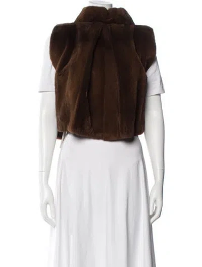 Pre-owned Fur Mink Coat In Multi