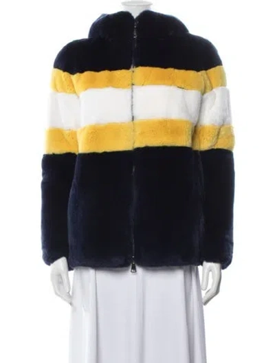 Pre-owned Fur Striped  Jacket In Blue