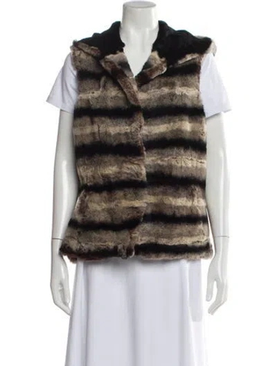 Pre-owned Fur Striped Vest In Multi