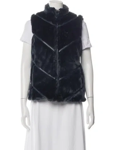 Pre-owned Fur Vest In Blue
