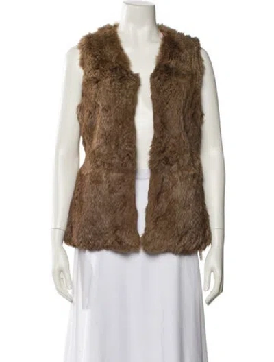 Pre-owned Fur Vest In Brown