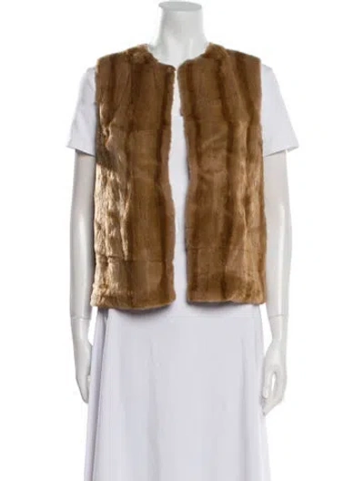 Pre-owned Fur Vest In Brown