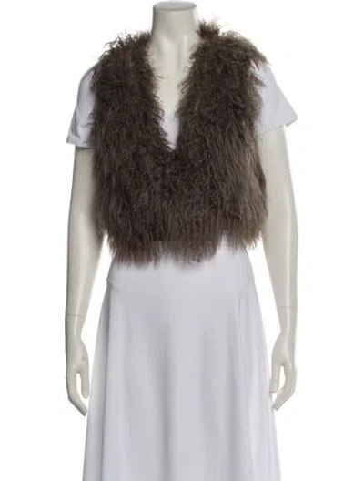 Pre-owned Fur Vest In Brown