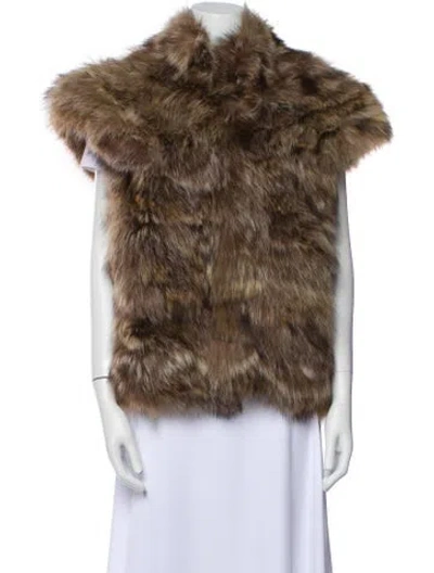 Pre-owned Fur Vest In Brown