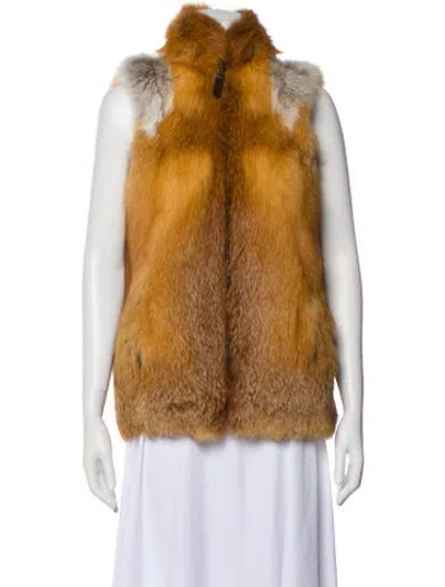 Pre-owned Fur Vest In Brown