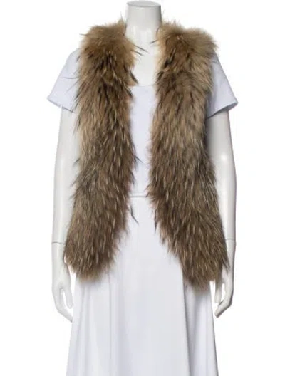 Pre-owned Fur Vest In Brown