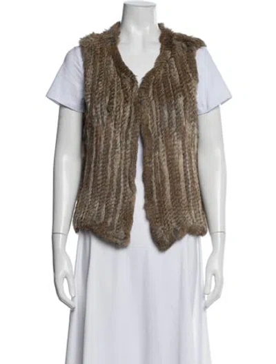 Pre-owned Fur Vest In Brown
