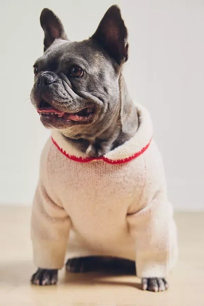 Furb All Wrapped Up Pet Sweater In Red